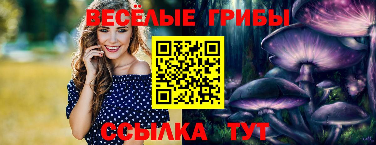 Галлюциногенные грибы Psilocybine cubensis Кимовск